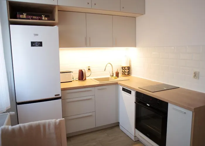 77 Apartament Reinholda Finstera